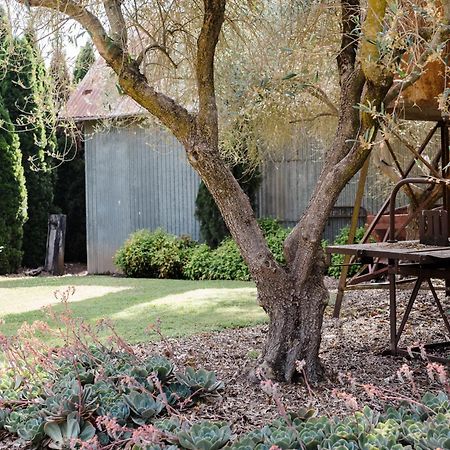 Walnut Tree Cottages Whorouly المظهر الخارجي الصورة