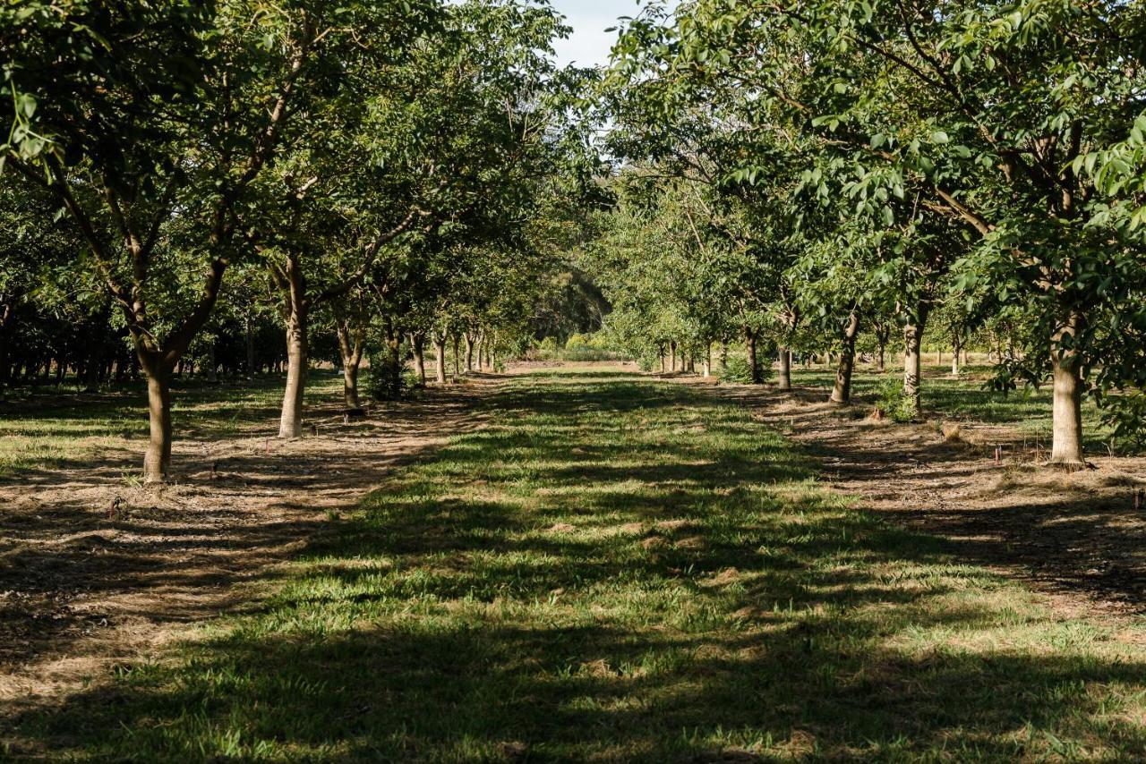 Walnut Tree Cottages Whorouly المظهر الخارجي الصورة